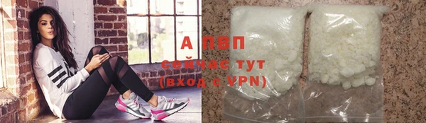 прущие грибы Балахна