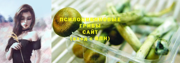 дживик Баксан