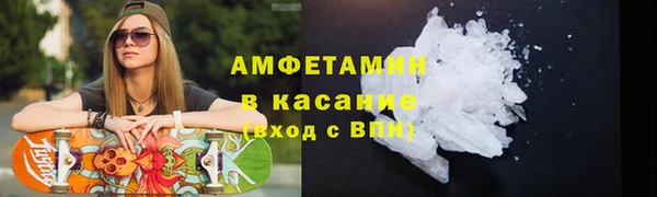 прущие грибы Балахна