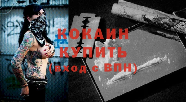 дживик Баксан