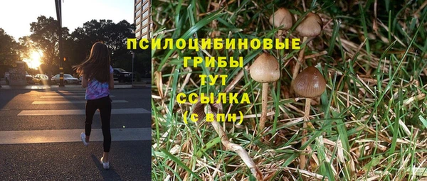 прущие грибы Балахна