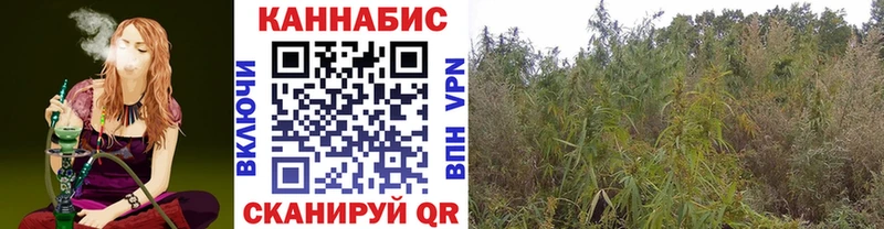 где найти наркотики  ссылка на мегу ссылки  Шишки марихуана сатива  Сатка 